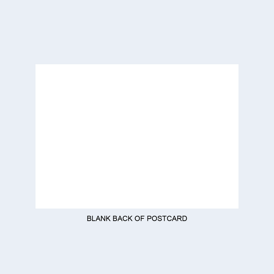 School Funding Mania Guerrilla Card